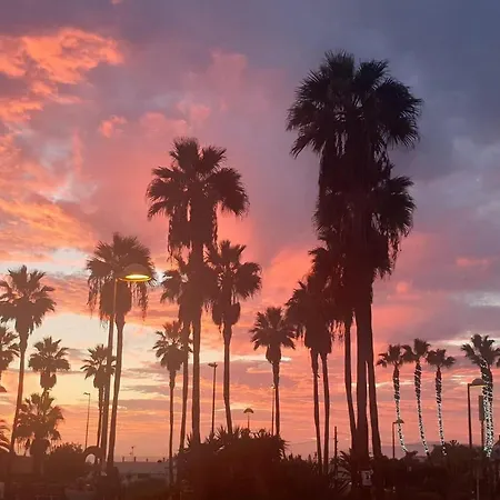 Andromeda Apartman Palm-mar