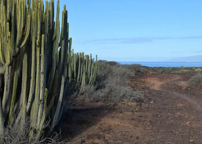 Andromeda Appartamento *