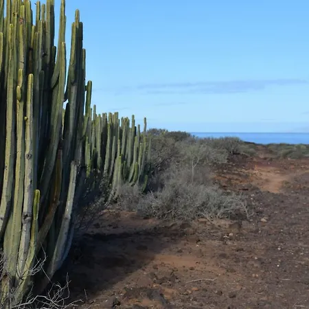 Andromeda Διαμέρισμα *