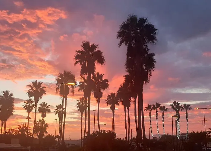 Andromeda Lejlighed Palm-mar