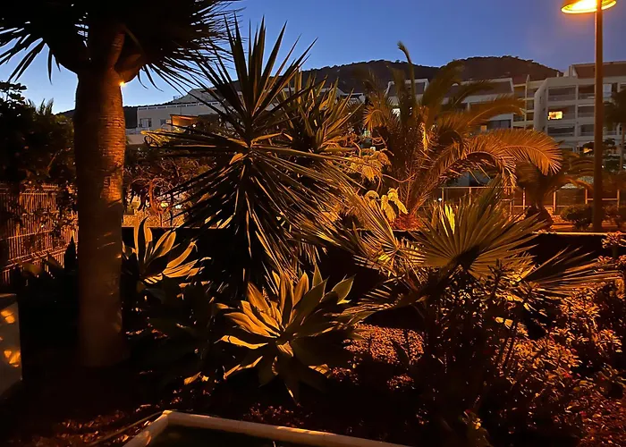 Lejlighed Andromeda Palm-mar