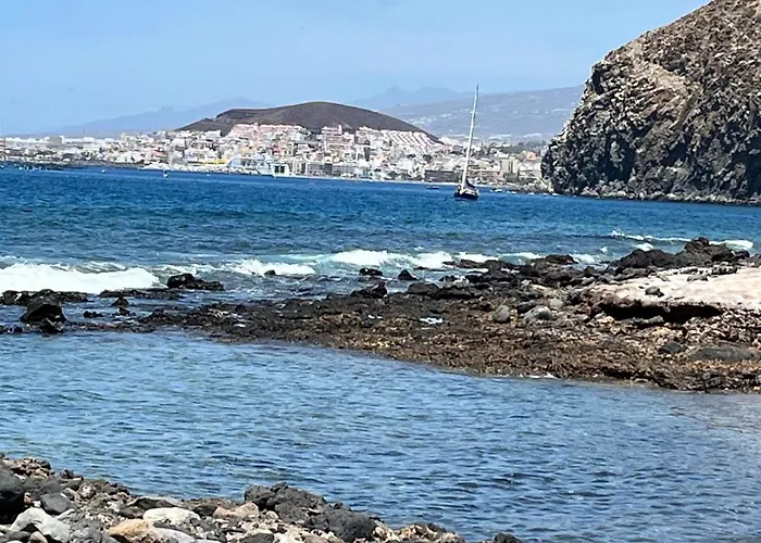 Andromeda * Palm-mar